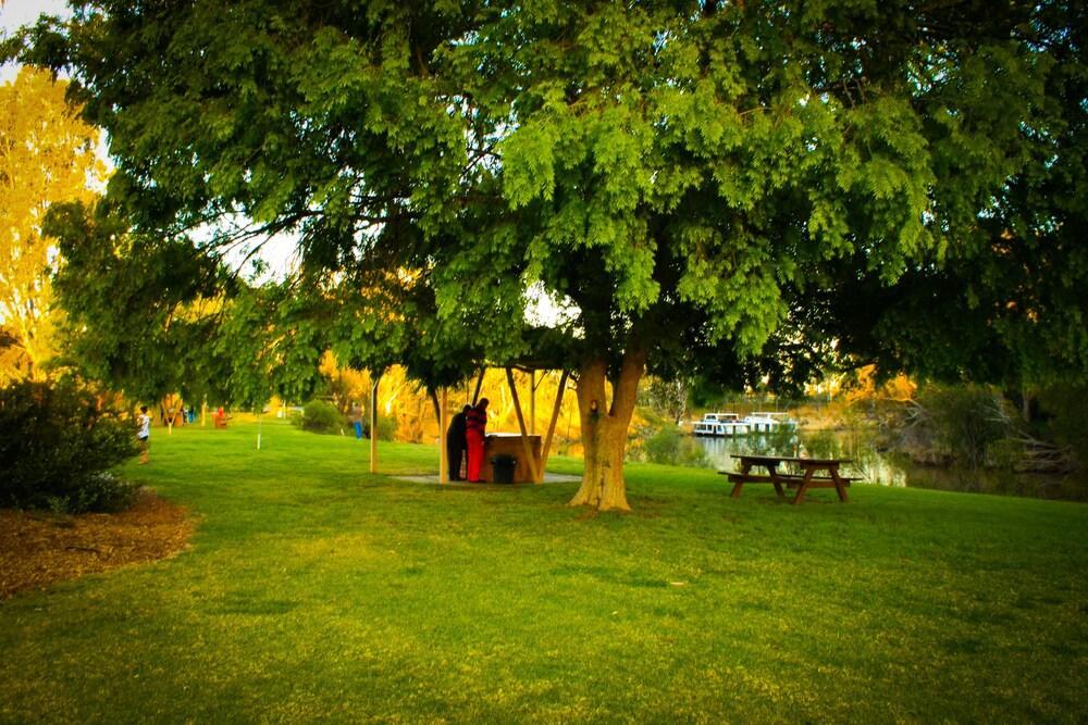 Cadell On The Murray Motel Moama Dış mekan fotoğraf
